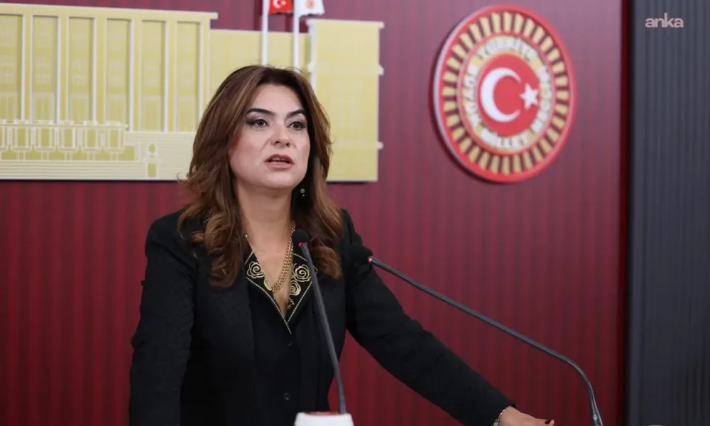 Gülistan Kılıç Koçyiğit: Dilde barış varsa bütçede de barış olmalıdır